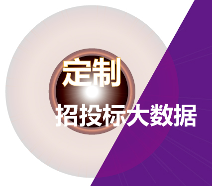 定制招投標(biāo)項目大數(shù)據(jù)